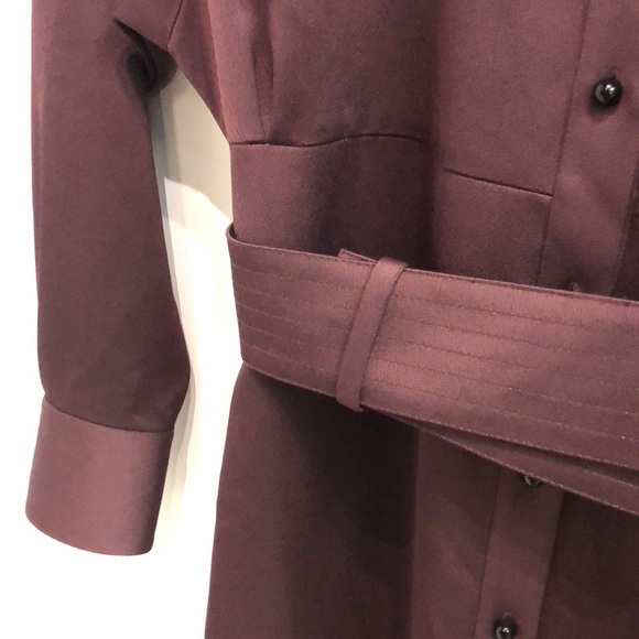 COPY - Equipment AW/19 Burgundy Satin Belted Buttoned Mini Dress - Picture 6 of 12